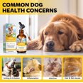 thumbnail image 3 of Tratamiento Natural para Infección por Levadura en Perros Daiasns 60 ml Gotas, 3 of 8