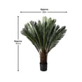 thumbnail image 3 of Serene Spaces Living Artificial Sago Palm Tree, 30" Diameter & 44" Tall, 3 of 3