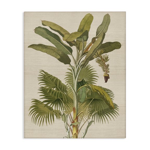 Stupell Industries Traditional Vintage Tropical Plant Canvas Art, 24 x 30, by Amber Sterling