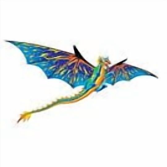 X Kites-76" Wingspan 3-d Kite: Green Dragon Multi-Colored