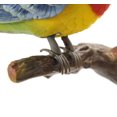 thumbnail image 2 of Pájaro Cantor y Trillador para Montar en Pared PowerTRC BC514A, 2 of 6