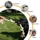 thumbnail image 5 of Juguete de cuerda para perros PetiFine para perros grandes que mastican agresivamente, 5 of 6