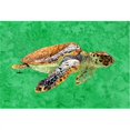 thumbnail image 1 of Turtle Swim 2 Fabric Placemat, 1 of 1