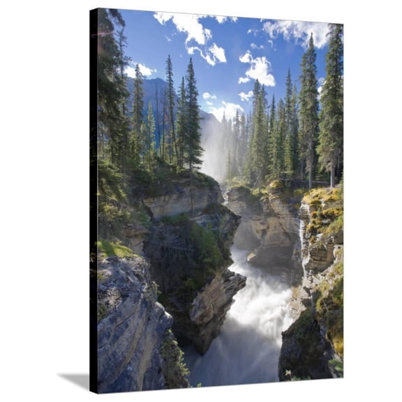 Athabasca Falls Waterfall, Jasper National Park, Alberta, Canada, Scenic Stretched Canvas Wall Art by Michele Falzone Sold by ArtCom