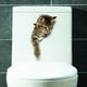 thumbnail image 4 of Pegatinas de pared Pegatinas de pared Calcomanías de pared de gatos 3d Pegatinas de baño combinadas Pegatinas de nevera impermeables Pegatinas de puerta Decoración de pared de cocina Namotu MZQ-0648, 4 of 7