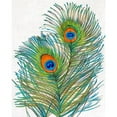 thumbnail image 3 of OToole, Tim 15x18 Black Modern Framed Museum Art Print Titled - Vivid Peacock Feathers I, 3 of 5