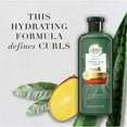 thumbnail image 5 of Herbal Essences Bio: Renew Curly Shampoo, For Curly Hair, Aloe and Mango, 13.5 fl oz, 5 of 10