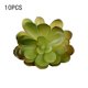 thumbnail image 4 of Mini Plantas Simuladas Matsuzay 10 Piezas Suculentas Flores Artificiales Tipo 39, 4 of 6