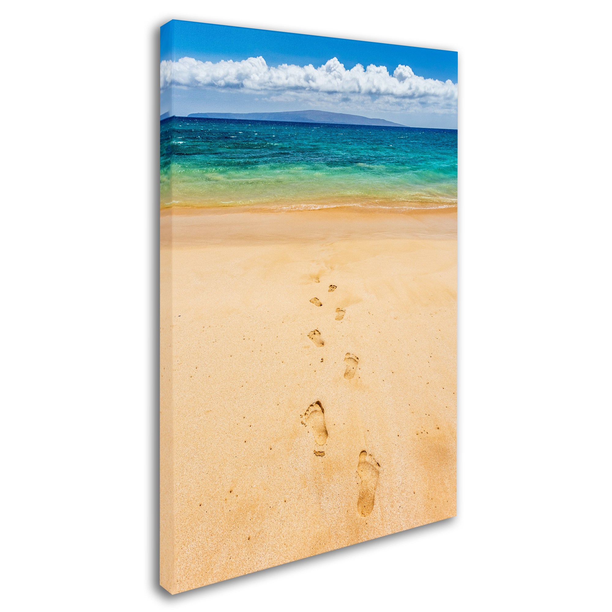 Trademark Fine Art 'Footprints in the Sand' Canvas Art by Pierre Leclerc