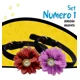 thumbnail image 3 of Collar Para Perro Pequeño Terciopelo Flor Set 2 Pzs Mascotas, 3 of 7