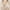 Beige, variant on Tumotour Front Open Bras For Women Full Coverage Wirefree Bra Button Closeure Bra For Mom Gift Nursing Underwear Bra Non-Steel Ring Gathering Together Breathable Women Daily Bras