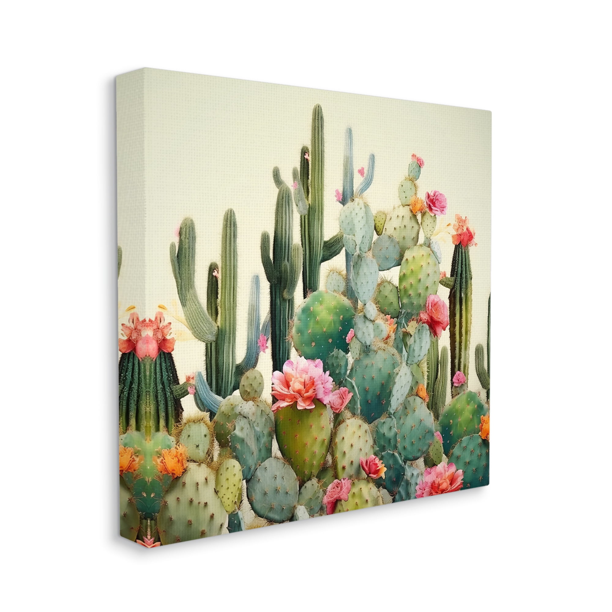 Stupell Industries Prickly Cactus Blooms Botanical & Floral Painting Gallery Wrapped Canvas Art Print Wall Art, 24 x 24