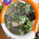 thumbnail image 3 of diseño Anim De Loupe De Cerf, Loupe Pour Enfants, Jouets Ducatifs De Plein Air Pour Enfants, Pratique Et Pratique, 3 of 5