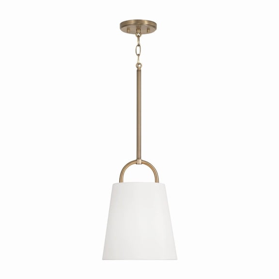 1 Light Pendant In Minimalist Style-13.75 Inches Tall And 10 Inches Wide-Aged Brass Finish -Traditional Installation Capital Lighting 349411Ad