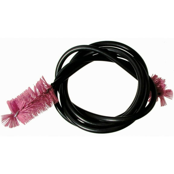 Snake,VNY,French Horn