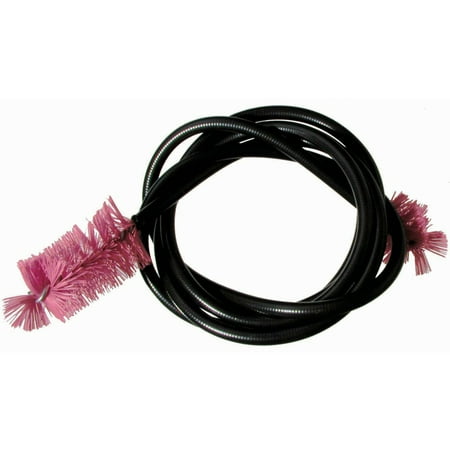 Snake,VNY,French Horn