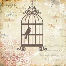 Cuadro Decorativo Yosemite Caged Whimsy I