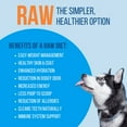 thumbnail image 6 of RAWTIES Freeze-Dried Beef Natural Chews for Dogs, 4 oz Pouch, 6 of 8