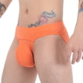 thumbnail image 5 of Mens Comfy Briefs Striped Printed Mid Waisted High Fork Breathable Mesh Large Size Comfortable Underpants Simple Regular Underwear, 5 of 5