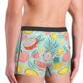 thumbnail image 4 of Bingfone Bright Peach Men's Underwear - Casual Stretch Boxer Briefs-Small, 4 of 7