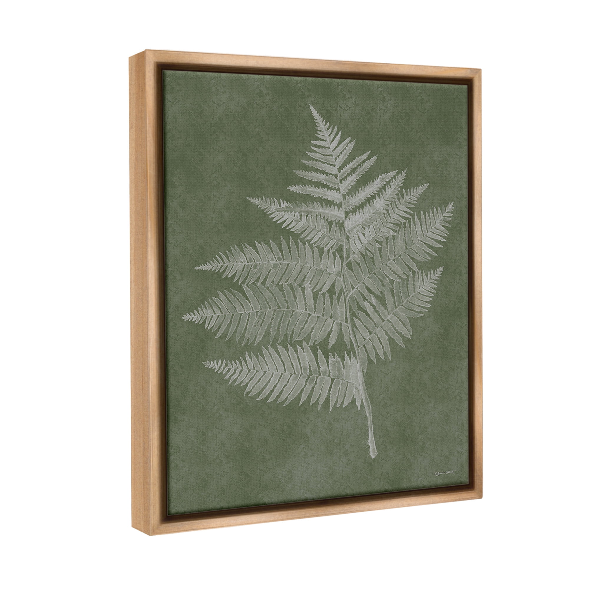 Stupell Industries Asymmetrical Fern Plant Botanical & Floral Painting Brown Floater Framed Canvas Art Print Wall Art, 17 x 21