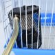 thumbnail image 5 of Winter Night Heating Reptile Heating Lamp Pet Cage Heater Kit Parrot Heating Lamp Multifunctional Lighting Turtle Heater Lizard Reptile Bird Cage Deco, 5 of 5