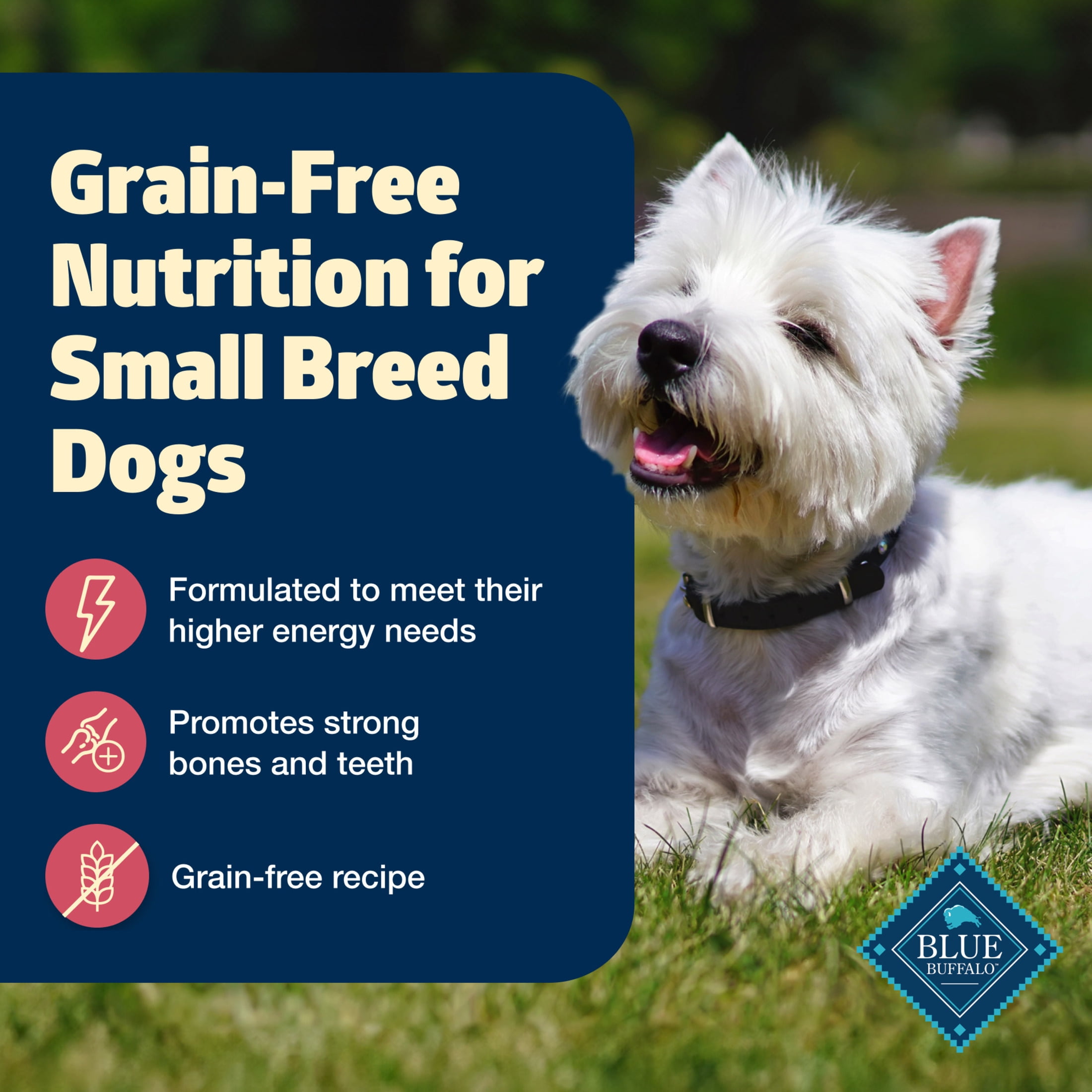 Blue Buffalo Freedom Grain-Free Small Breed Adult Dry Dog Food, Chicken & Potatoes, 4 lbs.