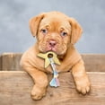 thumbnail image 5 of Durable Interactive Dog Chew Toy For Aggressive Chewers Long Lasting Bone Design Pet Teeth Cleaning Puppy Teething Supplies For All Size Dogs, 5 of 5