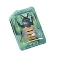 thumbnail image 2 of Rvkxad Wind Up Crawling Bee Toy, Mechanical Buzzing Insect Figure, Fun Animated Pull Back Toy for Kids Babies, 2 of 6