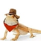 thumbnail image 1 of Sombrero de vaquero con dragón barbudo y disfraz de reptil lagarto de Halloween, gorro genial para mascota, traje de Animal PEQUEÑO para hámster, traje para Cosplay esculpido, 1 of 3