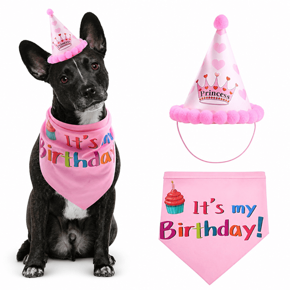 FLORNIX 2026 New Pet Cat Dog Birthday Headwear Caps Hat Party Headwear for Birthday,Celebration,Photo,Costume,Festival Pet Accessory