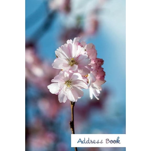 Address Book Flower Edition.: Address Book.: Glossy And Soft Cover, Large Print, Font, 6" x 9" For Contacts, Addresses, Phone Numbers, Emails, Birthday And More. (Paperback)(Large Print)