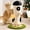 Black Rocket, variant on Cute Cat Scratching Post, Carrot Cat Scratcher Post with Durable Natural Wooden Turntable Toy and Catnip, 24'‘ H Carrot Shape Design Sisal Cat Tree Sisal Scratcher for Indoor Cats (Cloud Base)