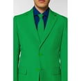 thumbnail image 2 of Costume Classique Vert Perruche pour Homme Adulte pour la Saint-Patrick - US42, 2 of 2