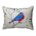 thumbnail image 1 of Betsy Drake ZP1050 20 x 24 in. Dicks Blue Bird Extra Large Zippered Pillow, 1 of 1