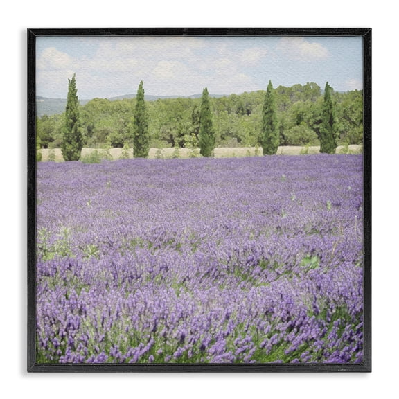 Stupell Industries Transitional Country Lavender Meadow Black Framed Giclee Art, 24 x 24, by LSR Design Studio