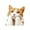 B, variant on Boovnll Car Accessories for Women, Cute Orange Stickers Car Stickers Window Stickers, Car, Car Accessories Interior, Car Accessories