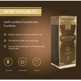 thumbnail image 4 of ORGANO Gourmet Cafe Mocha (15 sachets) - 2 Pack, 4 of 6
