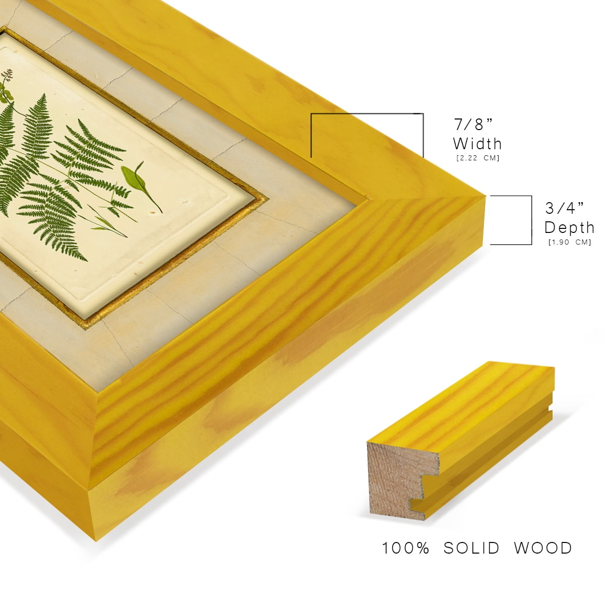 Fern with Crackle Mat (H) IV - Framed Print w/glass - Sunflower Yellow