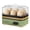 Green, variant on Evoloop Plastic 6-Egg Cooker Electric Egg Poacher