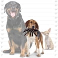 thumbnail image 4 of Tuffy Desert Tarantula Durable Plush Dog Toy, 4 of 9