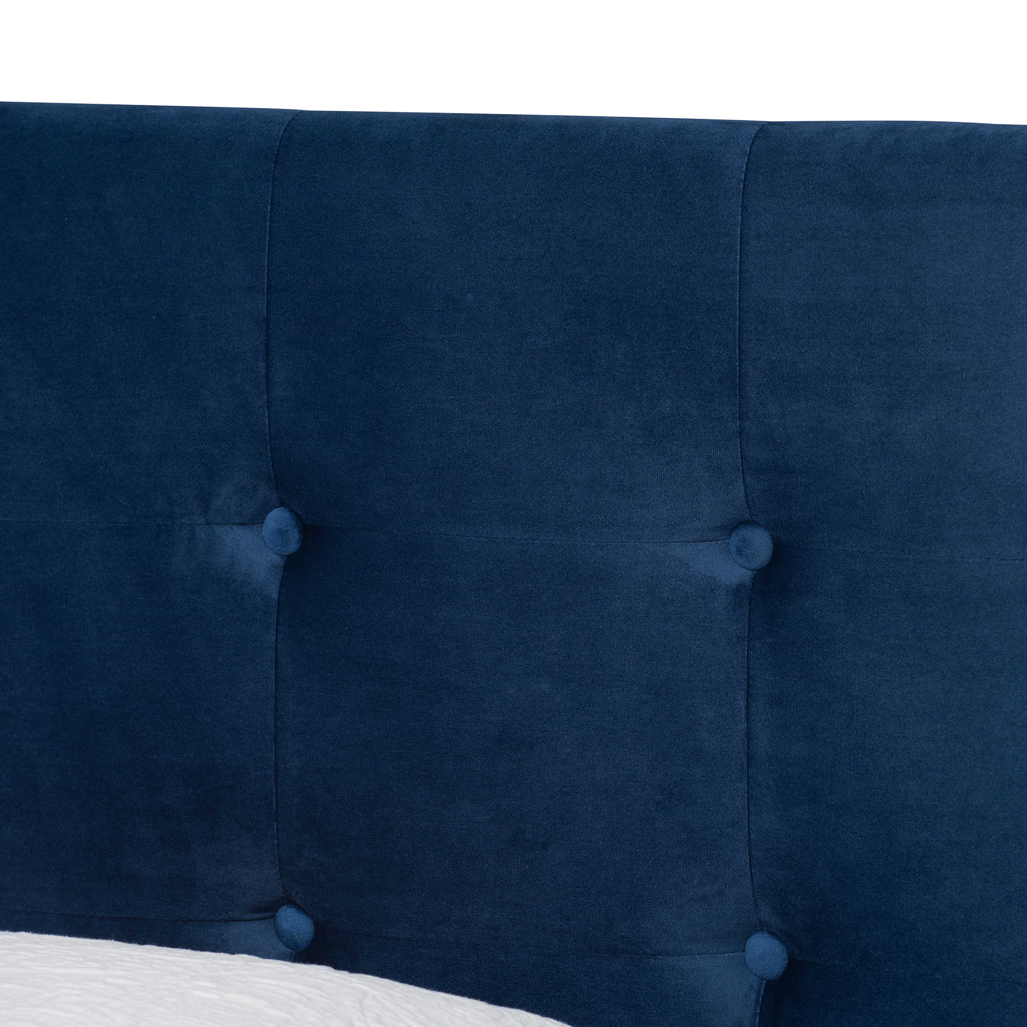 Baxton Studio Caprice Contemporary/Modern Velvet Tufted Panel Bed, Twin, Navy Blue/Black