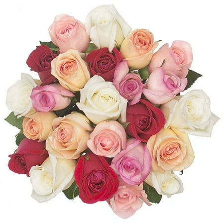 Assorted Mix Long Stemmed Roses, 2 doz