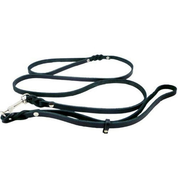 Slip Leash in Black Genuine Leather Lead and Collar system 54" Long 3/8" Wide Black Medium