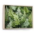 thumbnail image 2 of Designart "Enchantment with Ferns II" Floral Floater Framed Wall Art Living Room, 2 of 7