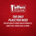 thumbnail image 2 of Jeffers Equine Glistening Gold Horse Shampoo, 32 oz - Soap Free, pH Balanced Formula with Hawaiian Coconut Oil & Vitamin E, Concentrated Natural Grooming Shampoo for Coat, Mane & Tail, All Breeds, 2 of 3