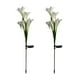 thumbnail image 2 of Luces de Flores de Lirio Solares para Jardín Exterior | 2 Lámparas de Piso con Enchufe | LED Impermeable con Energía Solar | Altura 27.56 in | Blanco Cálido, Rosa, Amarillo, Púrpura | Decoración, 2 of 6