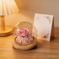 thumbnail image 4 of Artificial Flower Glass Dome with Night Light, Preserved Real Carnation for Mother'S Day Gift, Faux Flower Home Decor, Dustproof Glass Cover, Pink, 4 of 9