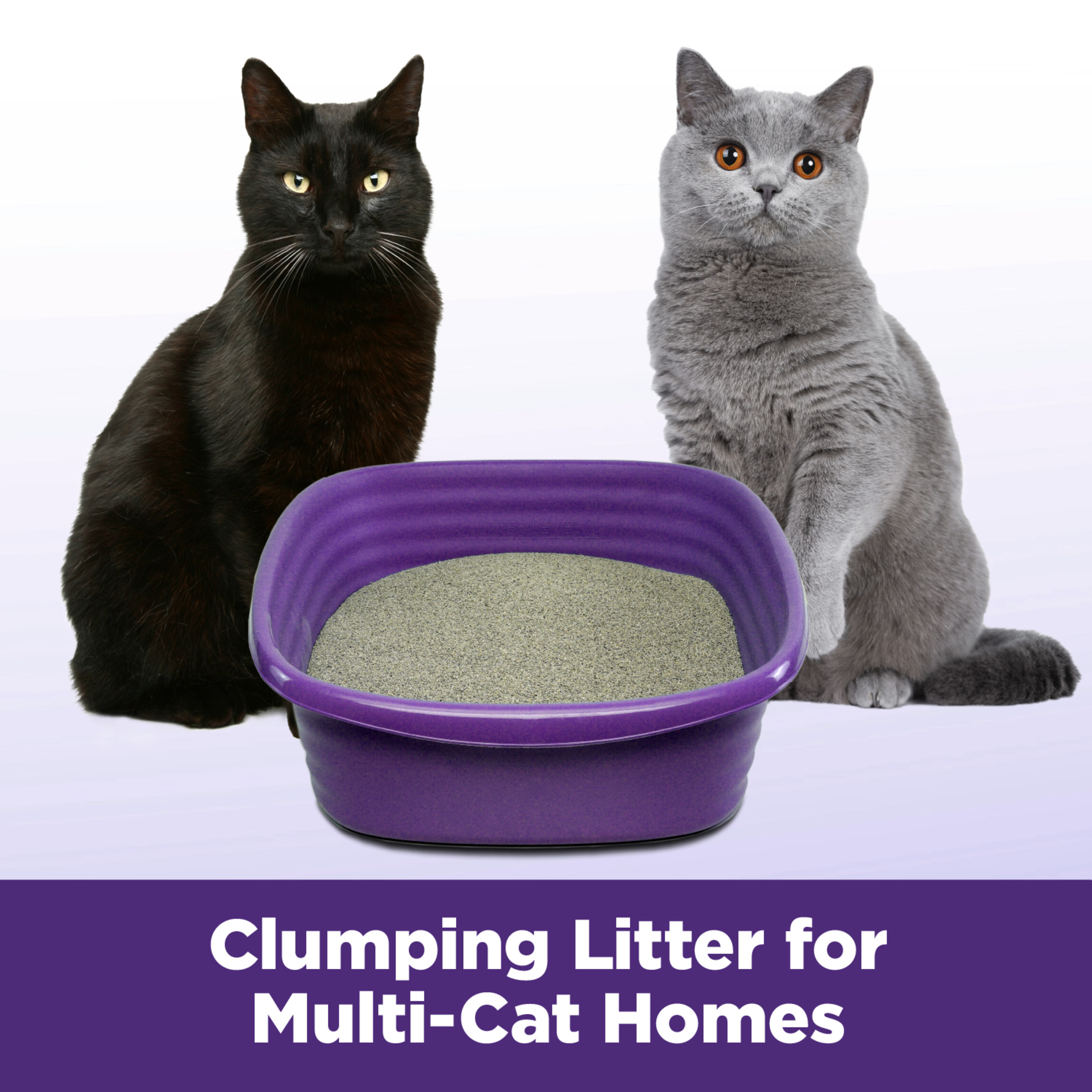 ARM & HAMMER Slide Multi-Cat Clumping Litter 19 lb photo 5