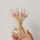 thumbnail image 4 of Toystoory 1 bolsa de palillos de para frutas, desechables, útiles, prácticos suministros para fiestas, accesorios de barra multiusos Mostrada Blanco brillante, 4 of 6